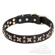 Collare con borchie a stellina "Vintage Legacy" per cane Collare con borchie a stellina "Vintage Legacy" per cane